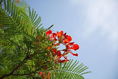 《博德之门3》PC豪华版开始发货 主机版宣布延期